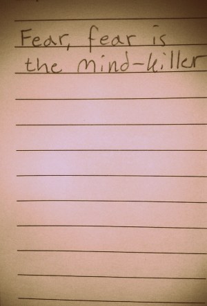 tumblr_mgj7drEgYE1s39fefo1_500