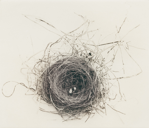 tumblr_ll738fQ2QS1qcstgao1_500