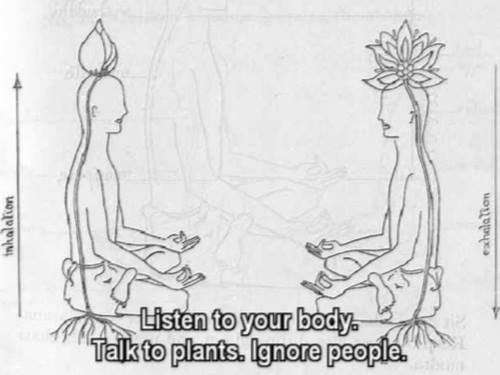 tumblr_ngscg2llHE1sulnzno1_500